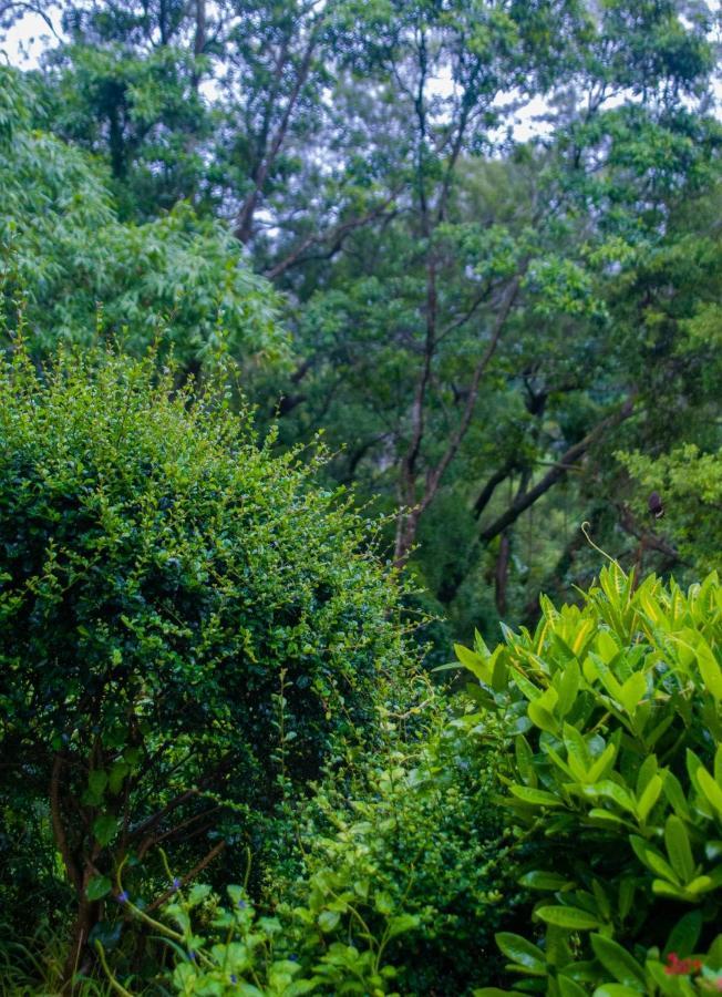 Siang Tsao Yu Chong Guest House Tam Nghĩa Ngoại thất bức ảnh