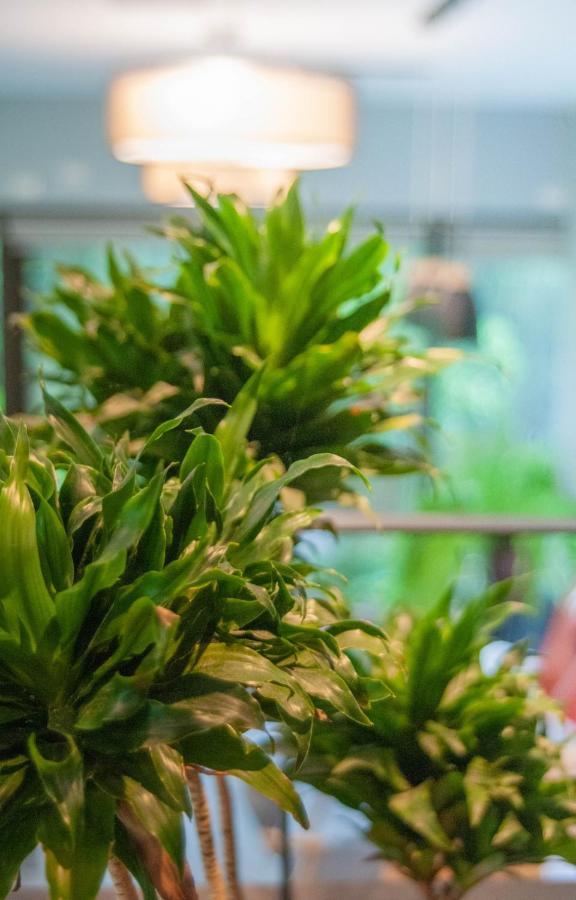 Siang Tsao Yu Chong Guest House Tam Nghĩa Ngoại thất bức ảnh